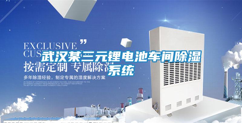 武漢某三元鋰電池車(chē)間除濕系統(tǒng)