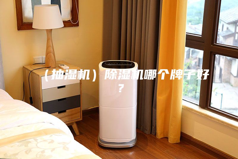 （抽濕機(jī)）除濕機(jī)哪個(gè)牌子好？
