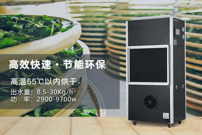 梅雨及夏季潮濕季節，讓除濕機成為您家的保護神跟保健員