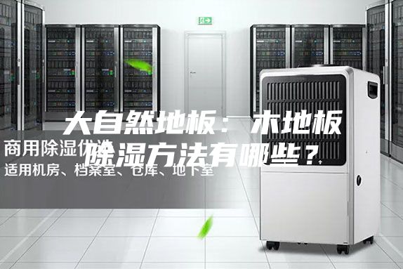 大自然地板：木地板除濕方法有哪些？