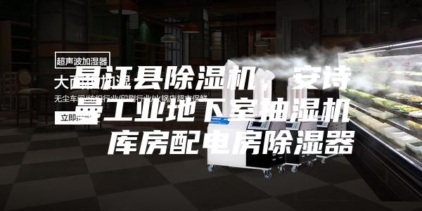 昌江縣除濕機，安詩曼工業地下室抽濕機  庫房配電房除濕器
