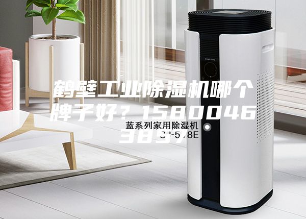 鶴壁工業(yè)除濕機哪個牌子好？15800463857
