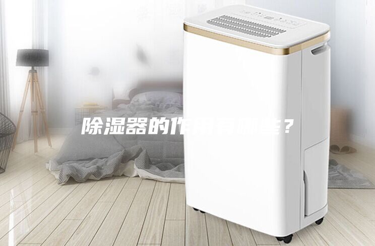 除濕器的作用有哪些？
