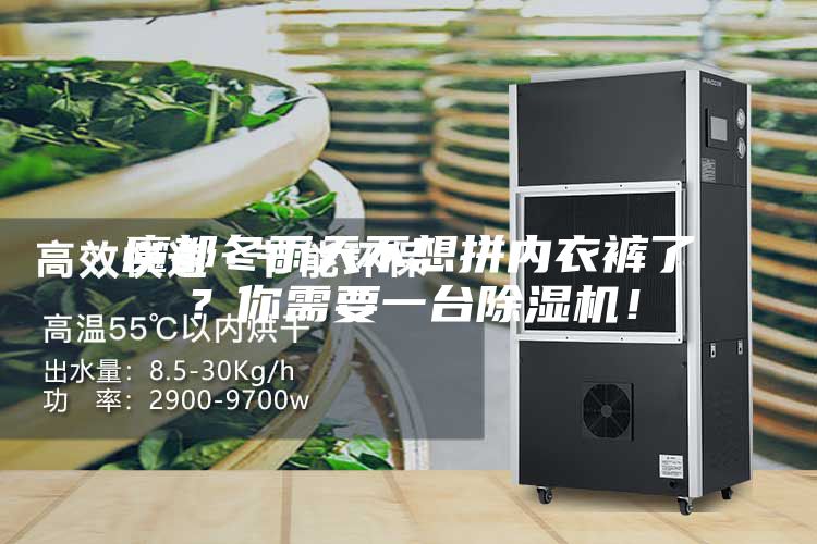 魔都冬雨天不想拼內(nèi)衣褲了？你需要一臺除濕機！