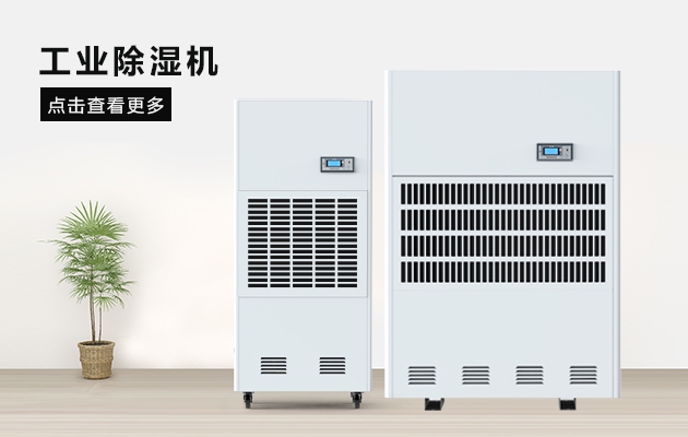這間熱帶雨林辦公室，不潮濕不下雨還讓員工忘記了在工作
