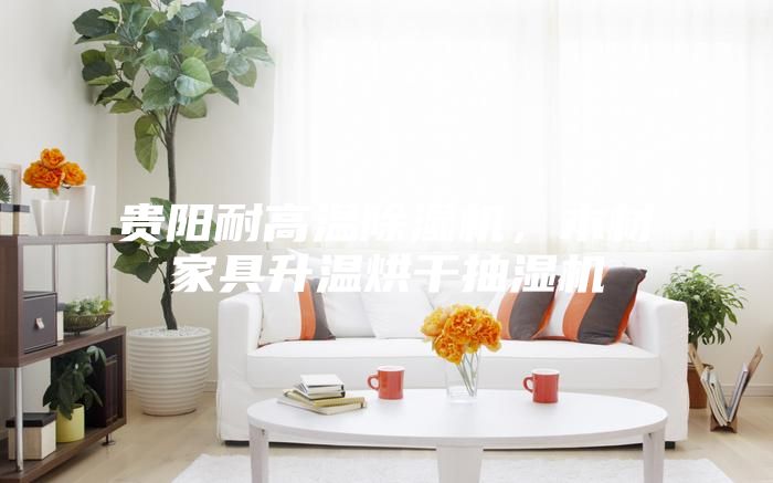 貴陽耐高溫除濕機，木材家具升溫烘干抽濕機