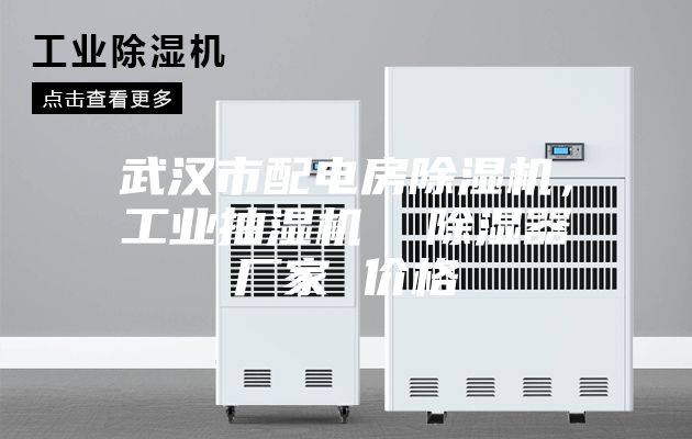 武漢市配電房除濕機，工業抽濕機  除濕器廠家 價格