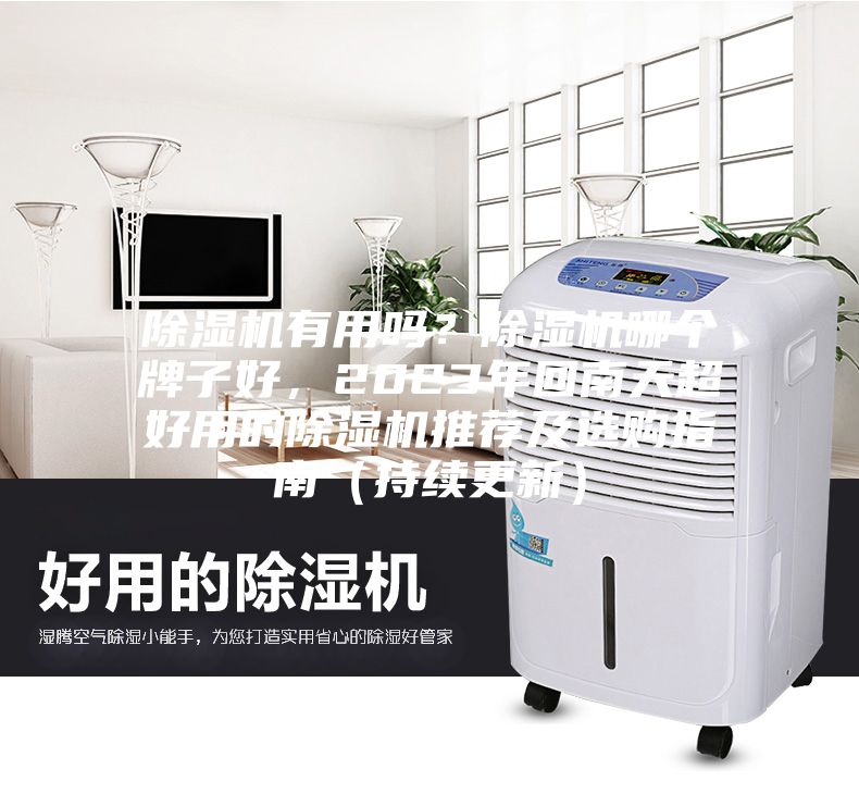 除濕機有用嗎？除濕機哪個牌子好，2023年回南天超好用的除濕機推薦及選購指南（持續更新）