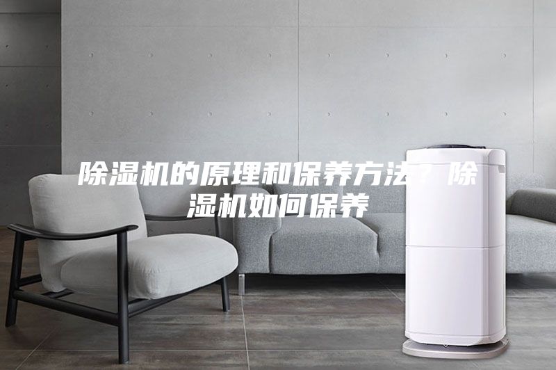 除濕機的原理和保養方法？除濕機如何保養