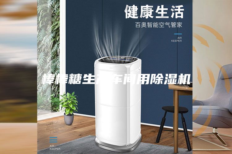 棒棒糖生產(chǎn)車間用除濕機