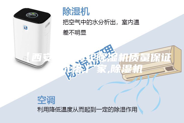 【西安小型轉(zhuǎn)輪除濕機(jī)質(zhì)量保證 】價格,廠家,除濕機(jī)