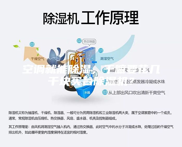 空調(diào)就能除濕，干嘛要花幾千塊買臺除濕機(jī)？
