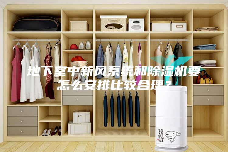 地下室中新風(fēng)系統(tǒng)和除濕機(jī)要怎么安排比較合理？