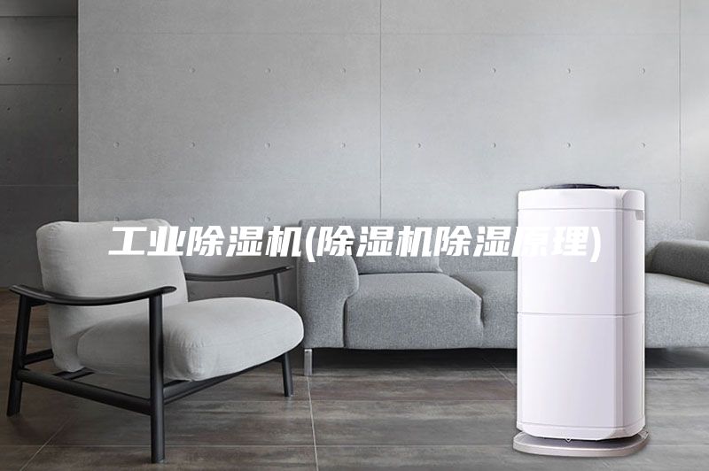 工業(yè)除濕機(除濕機除濕原理)