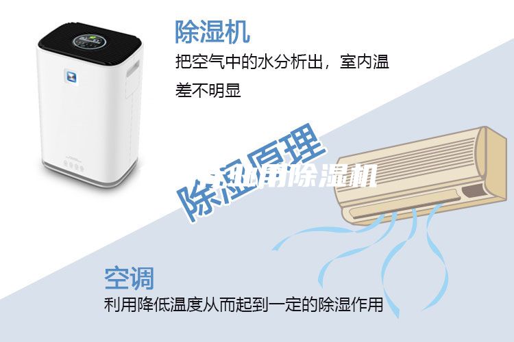 食品行業(yè)用除濕機