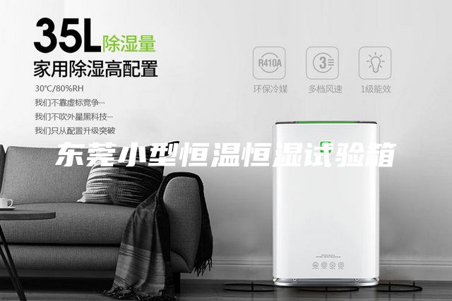 東莞小型恒溫恒濕試驗(yàn)箱