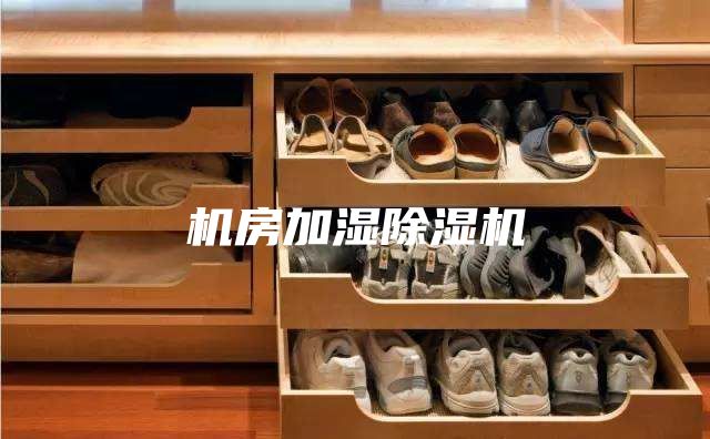 機(jī)房加濕除濕機(jī)