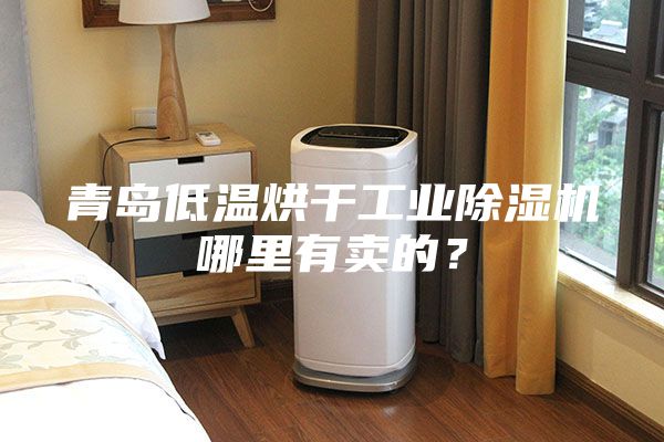 青島低溫烘干工業(yè)除濕機哪里有賣的？