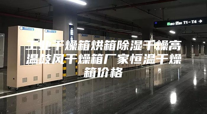 工業(yè)干燥箱烘箱除濕干燥高溫鼓風干燥箱廠家恒溫干燥箱價格
