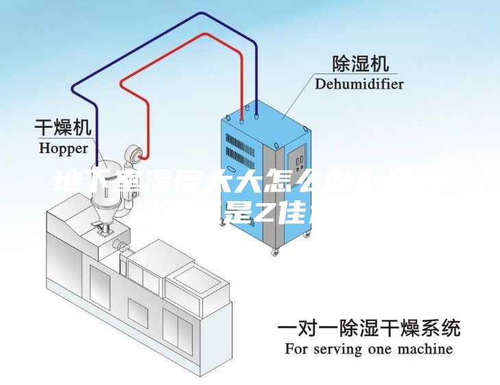 地下室濕度太大怎么辦？使用除濕機(jī)是Z佳選擇