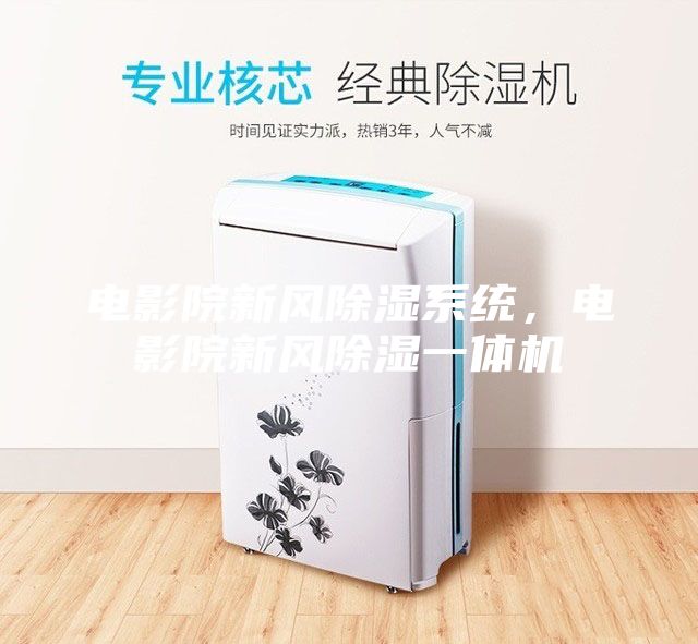 電影院新風(fēng)除濕系統(tǒng)，電影院新風(fēng)除濕一體機(jī)