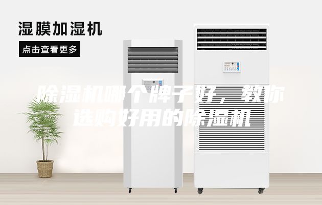 除濕機(jī)哪個牌子好，教你選購好用的除濕機(jī)