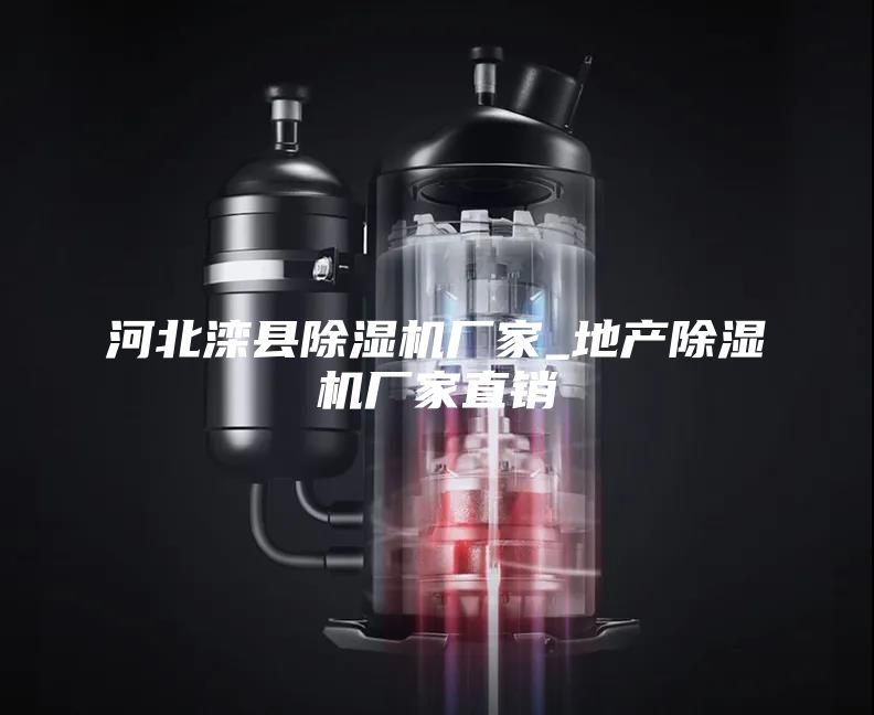河北灤縣除濕機廠家_地產(chǎn)除濕機廠家直銷