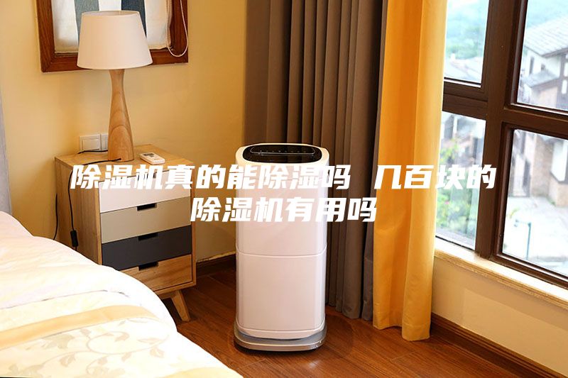 除濕機真的能除濕嗎 幾百塊的除濕機有用嗎