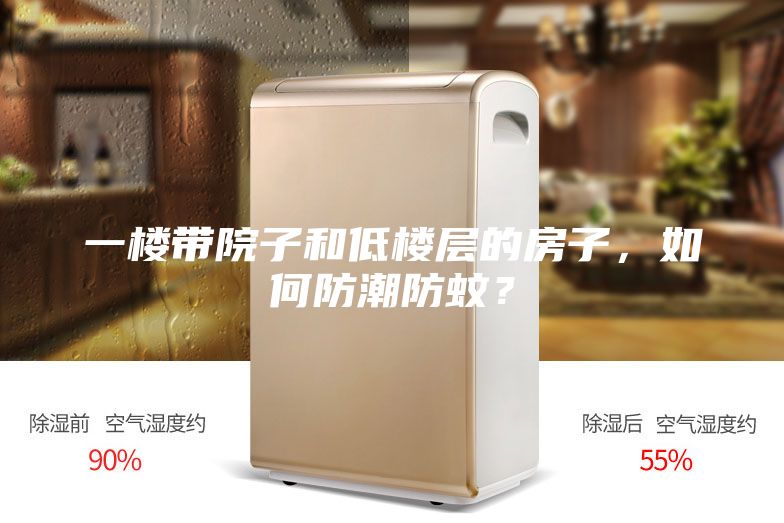 一樓帶院子和低樓層的房子，如何防潮防蚊？