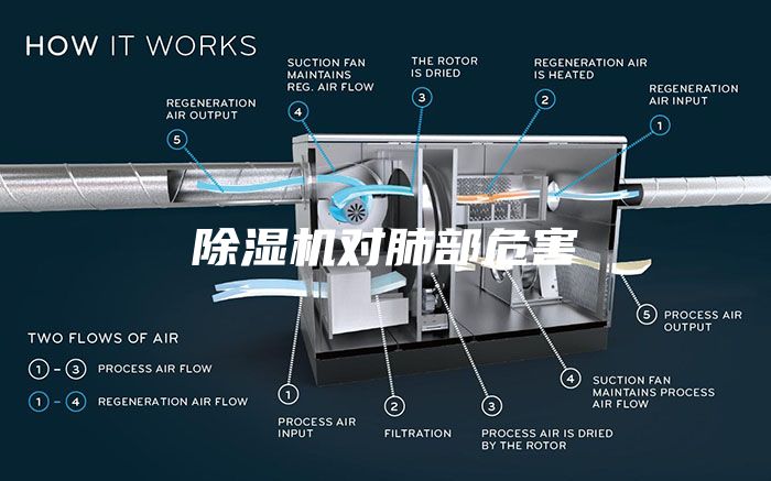 除濕機對肺部危害