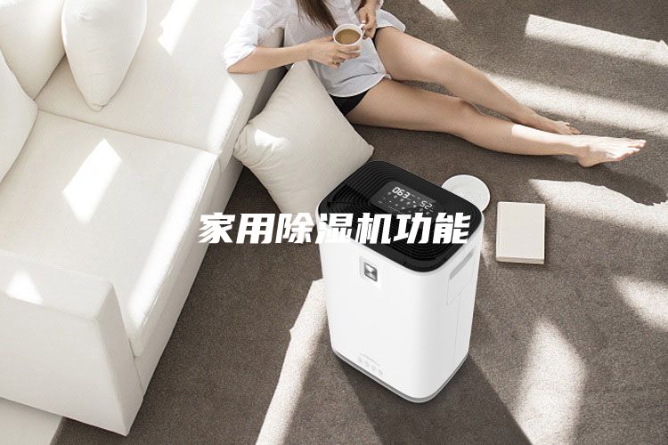 家用除濕機(jī)功能