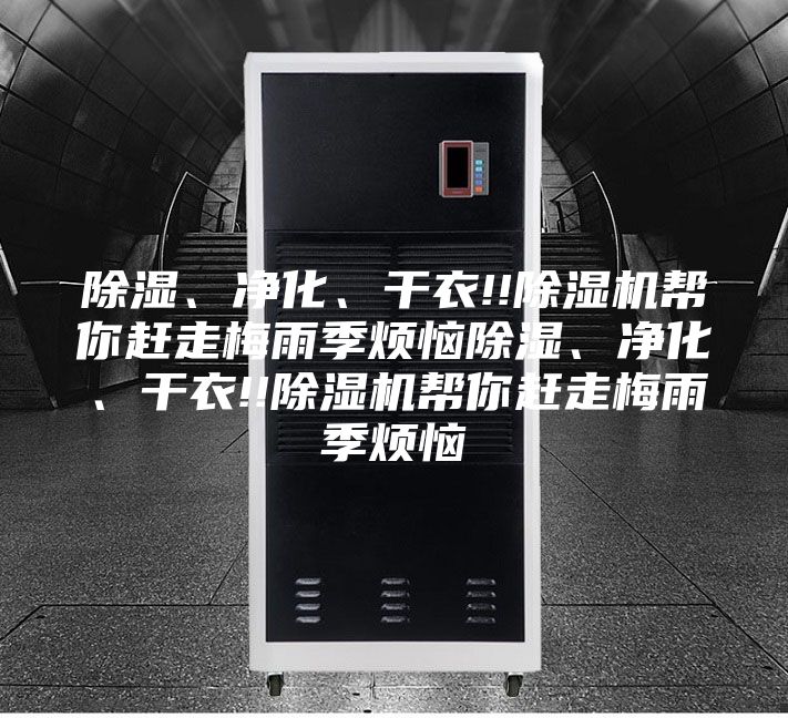 除濕、凈化、干衣!!除濕機幫你趕走梅雨季煩惱除濕、凈化、干衣!!除濕機幫你趕走梅雨季煩惱