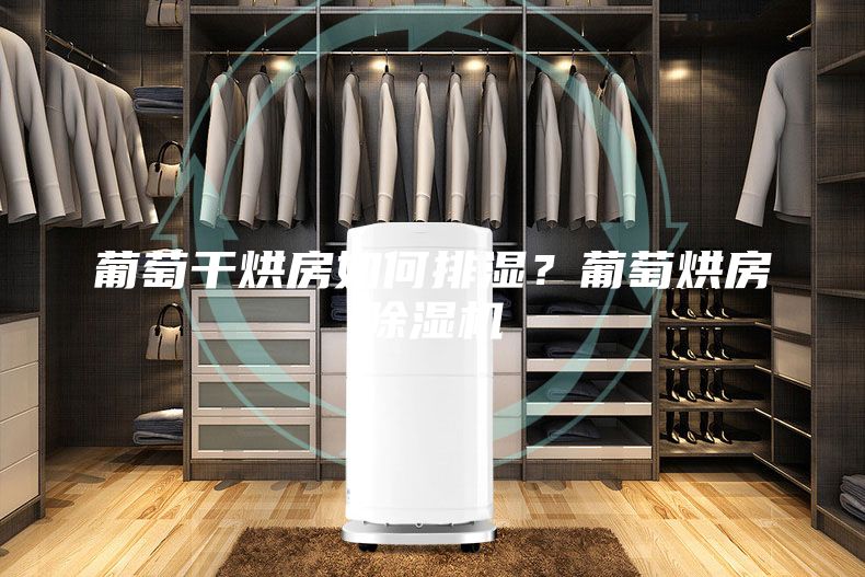 葡萄干烘房如何排濕？葡萄烘房除濕機