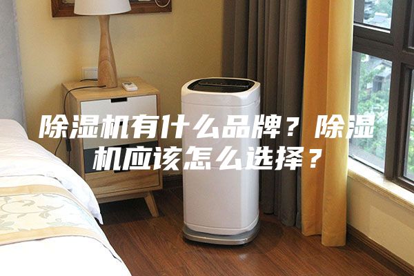 除濕機有什么品牌？除濕機應該怎么選擇？