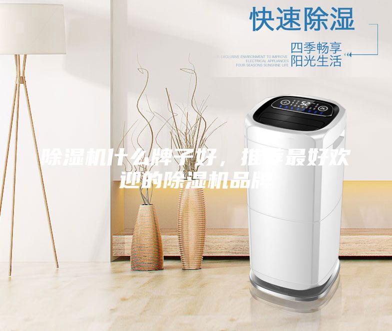 除濕機(jī)什么牌子好，推薦最好歡迎的除濕機(jī)品牌
