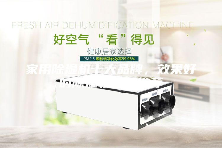 家用除濕機(jī)十大品牌，效果好的除濕機(jī)品牌推薦