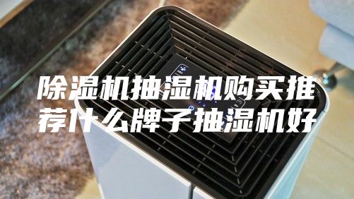 除濕機(jī)抽濕機(jī)購買推薦什么牌子抽濕機(jī)好