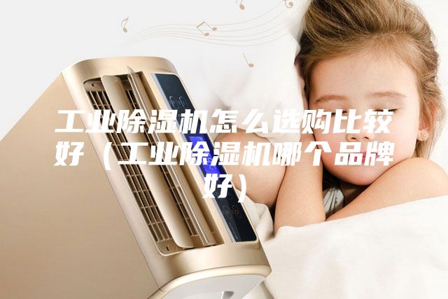 工業(yè)除濕機(jī)怎么選購(gòu)比較好（工業(yè)除濕機(jī)哪個(gè)品牌好）