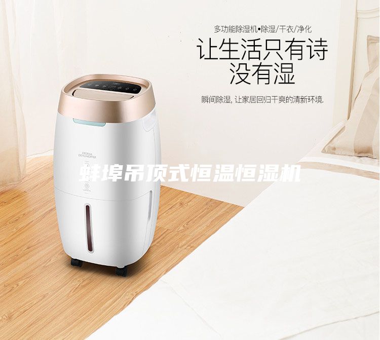 蚌埠吊頂式恒溫恒濕機