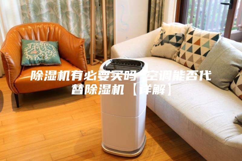 除濕機(jī)有必要買嗎 空調(diào)能否代替除濕機(jī)【詳解】